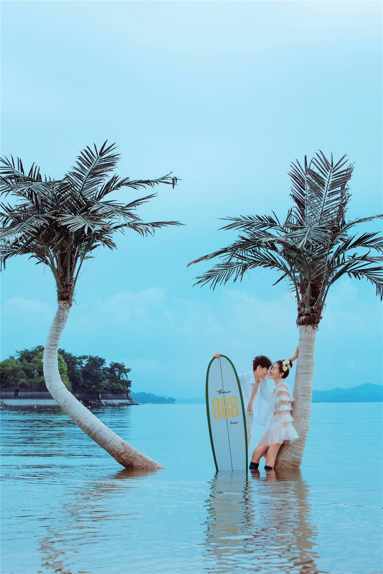 沙滩椰树-图片9