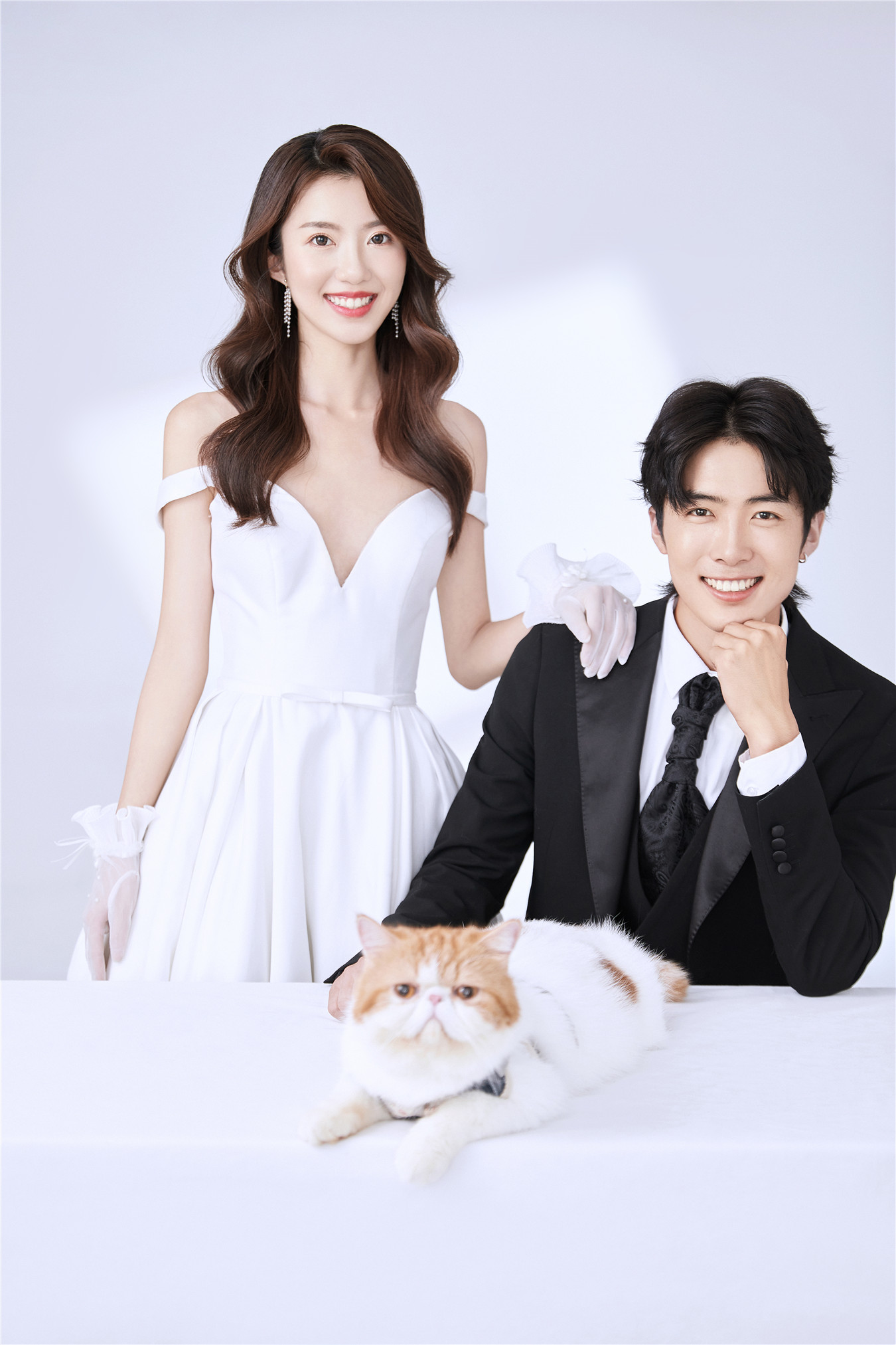 爱宠内景-图片4