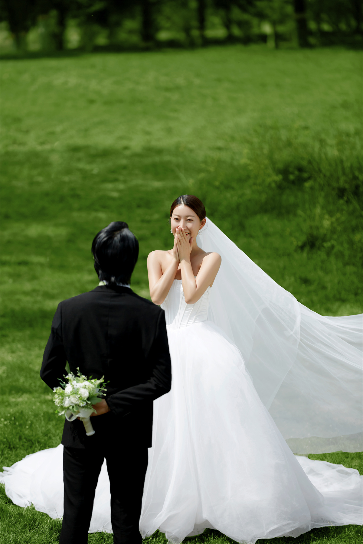 草坪绿地-图片2