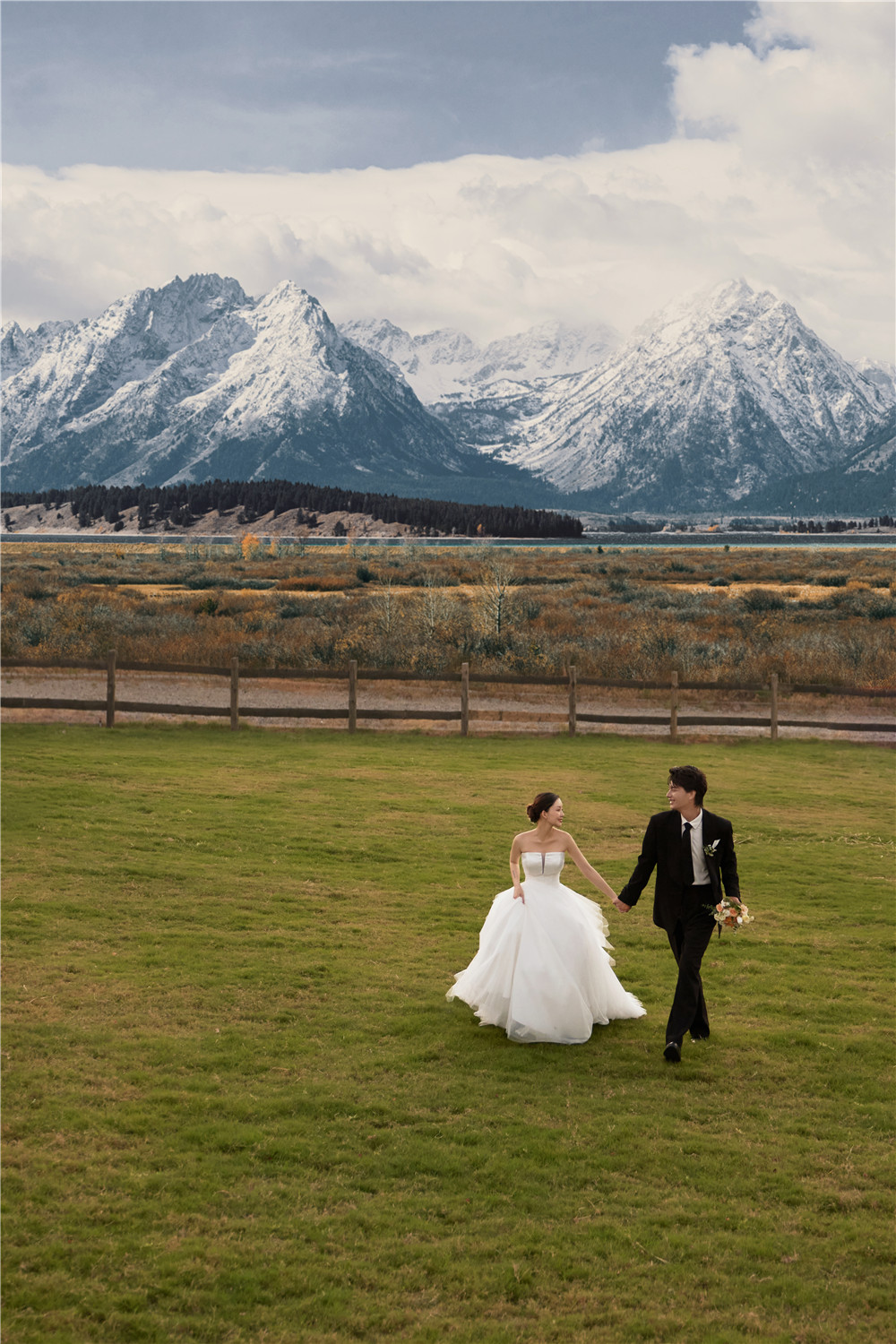 草地森系-图片5