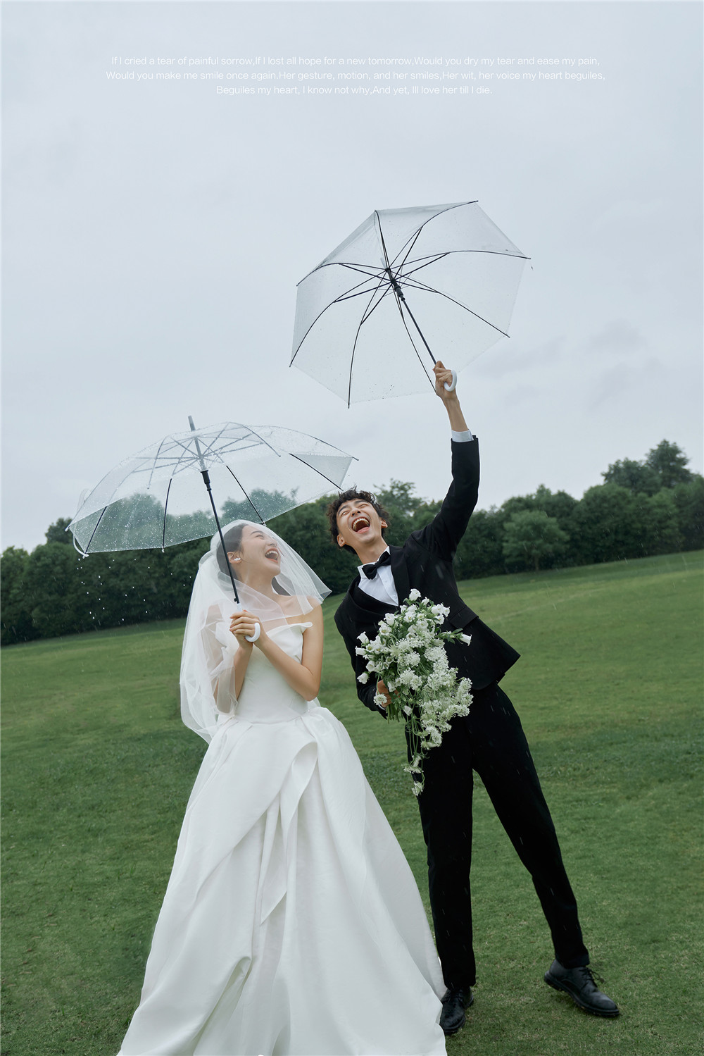 草坪绿地-图片3