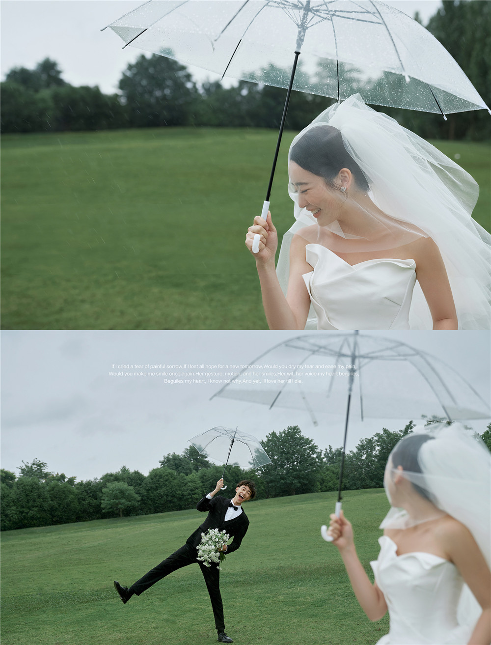 草坪绿地-图片4