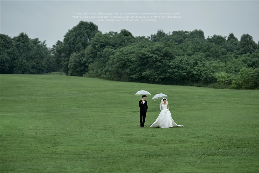 草坪绿地-图片8