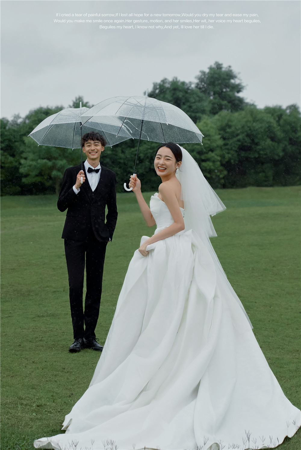 草坪绿地-图片9