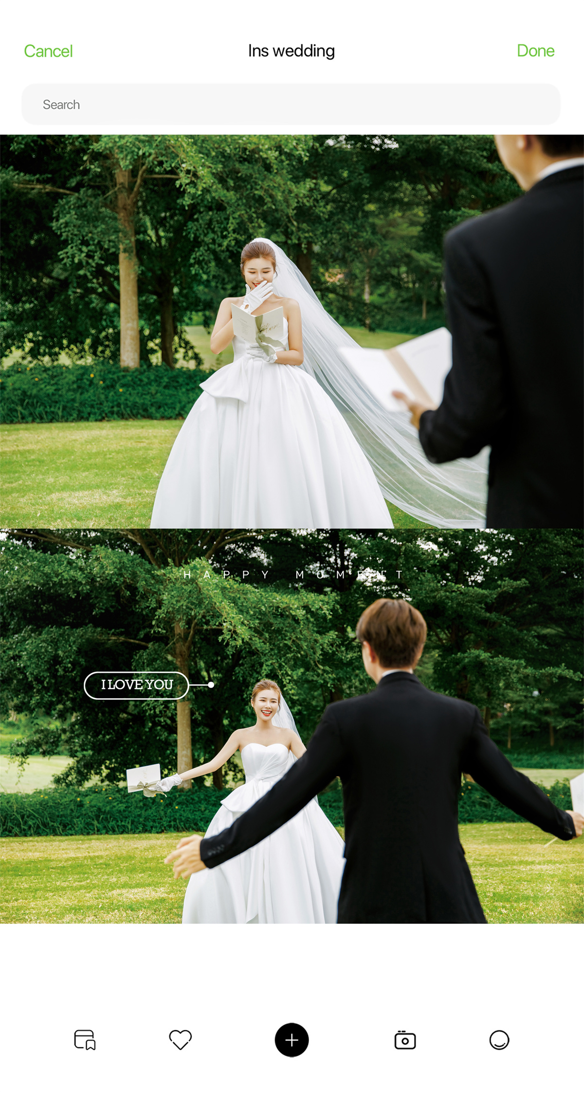 清新草地-图片1