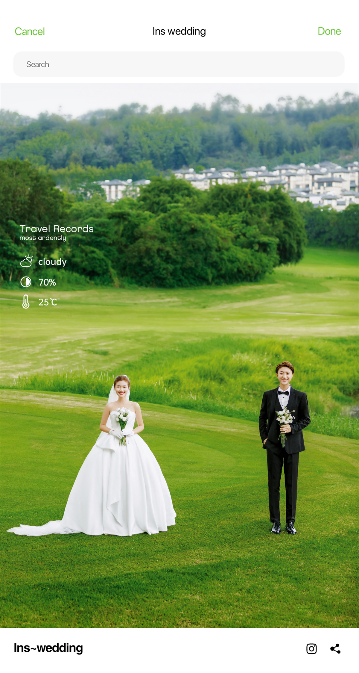 清新草地-图片2