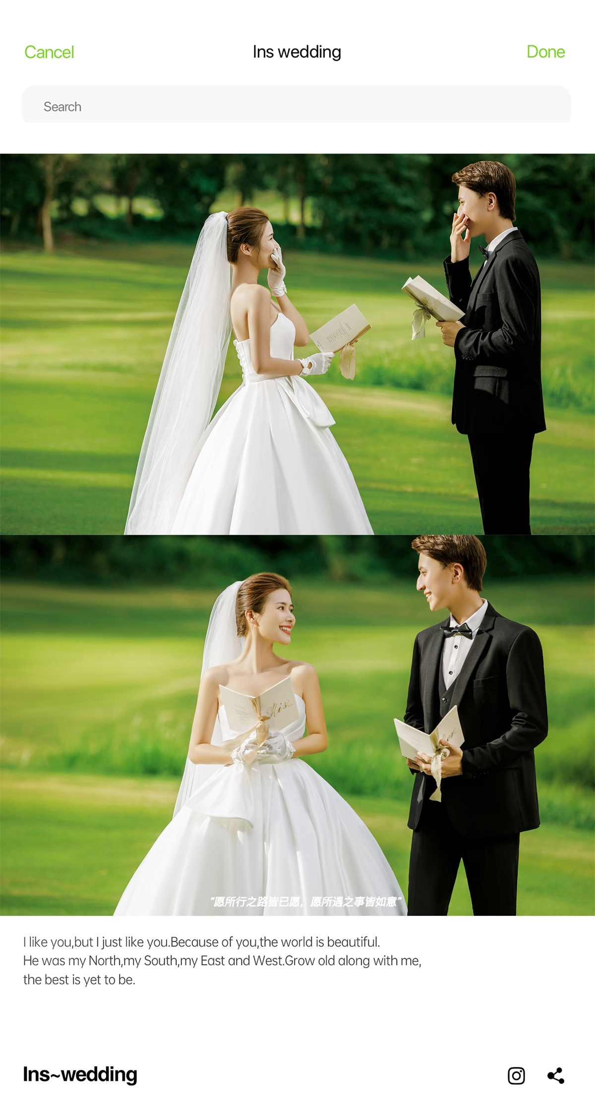 清新草地-图片3