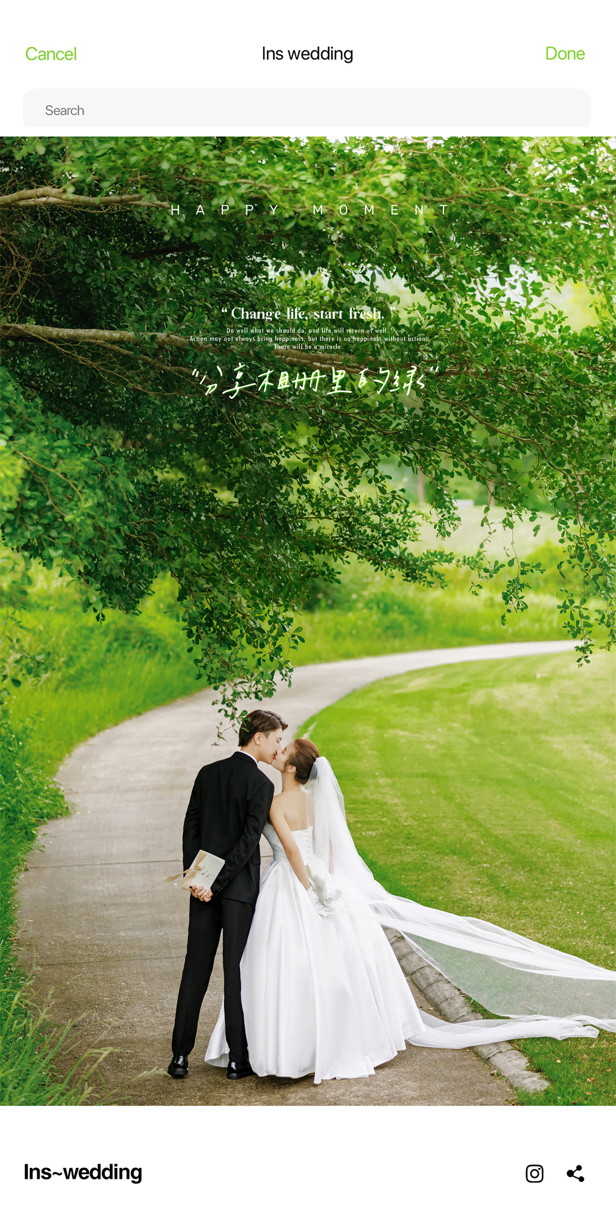 清新草地-图片5