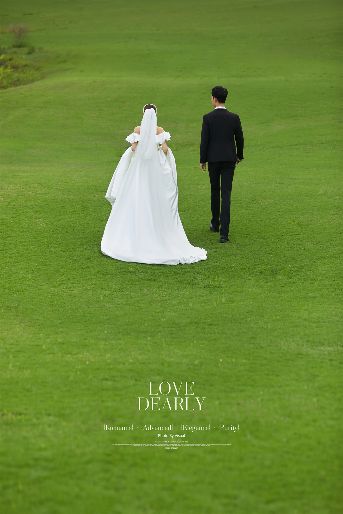 清新草地-图片4