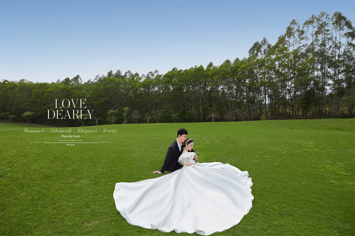 清新草地-图片2