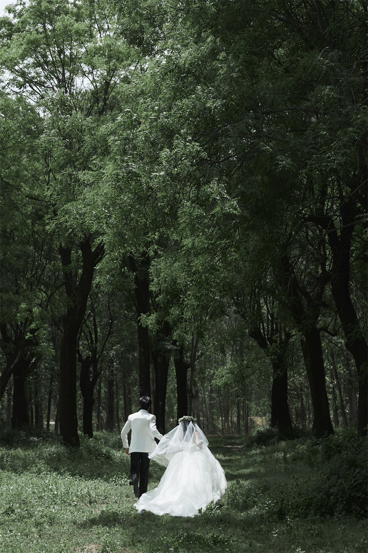 清新森系-图片7