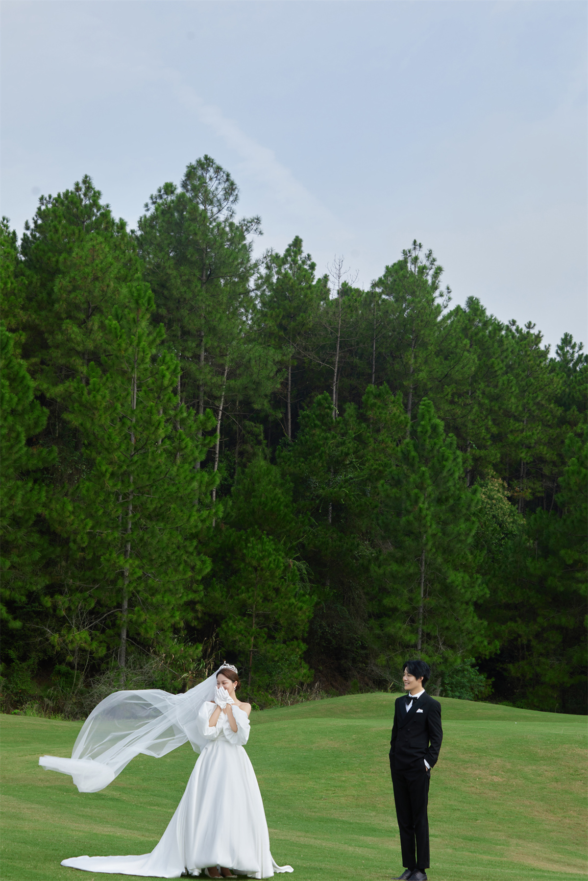 草坪绿地-图片7