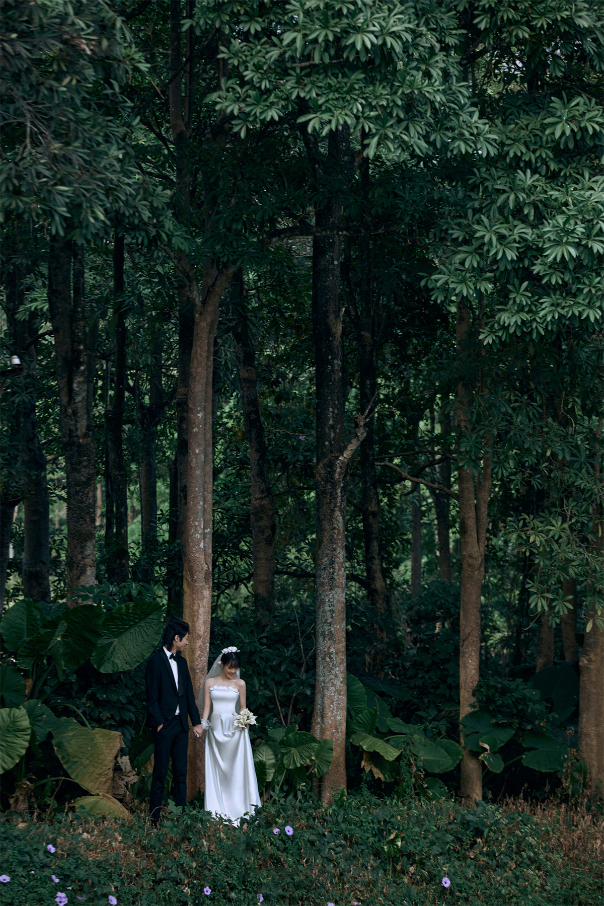 浪漫森系-图片1