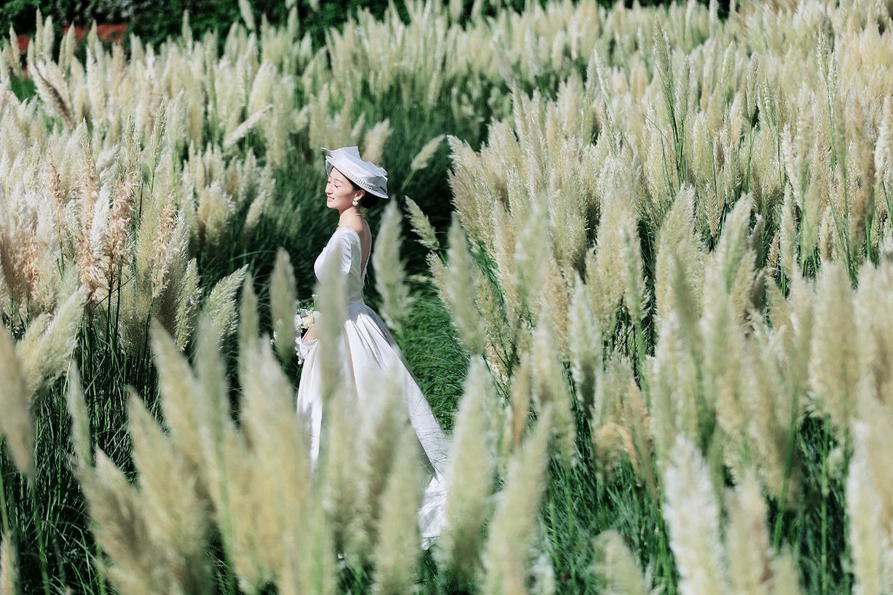 丽江--听花谷-图片2