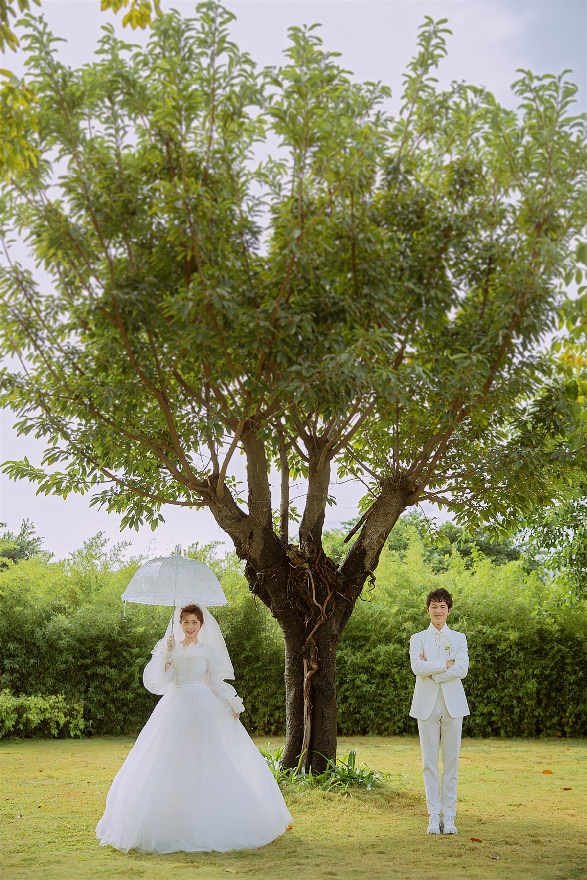 清新森系-图片7