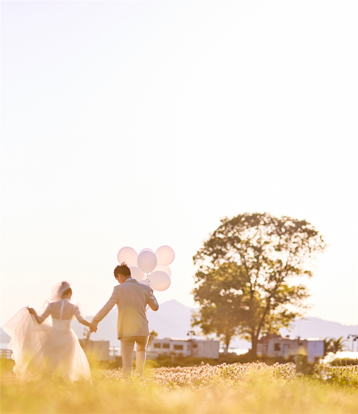 清新文艺-图片7