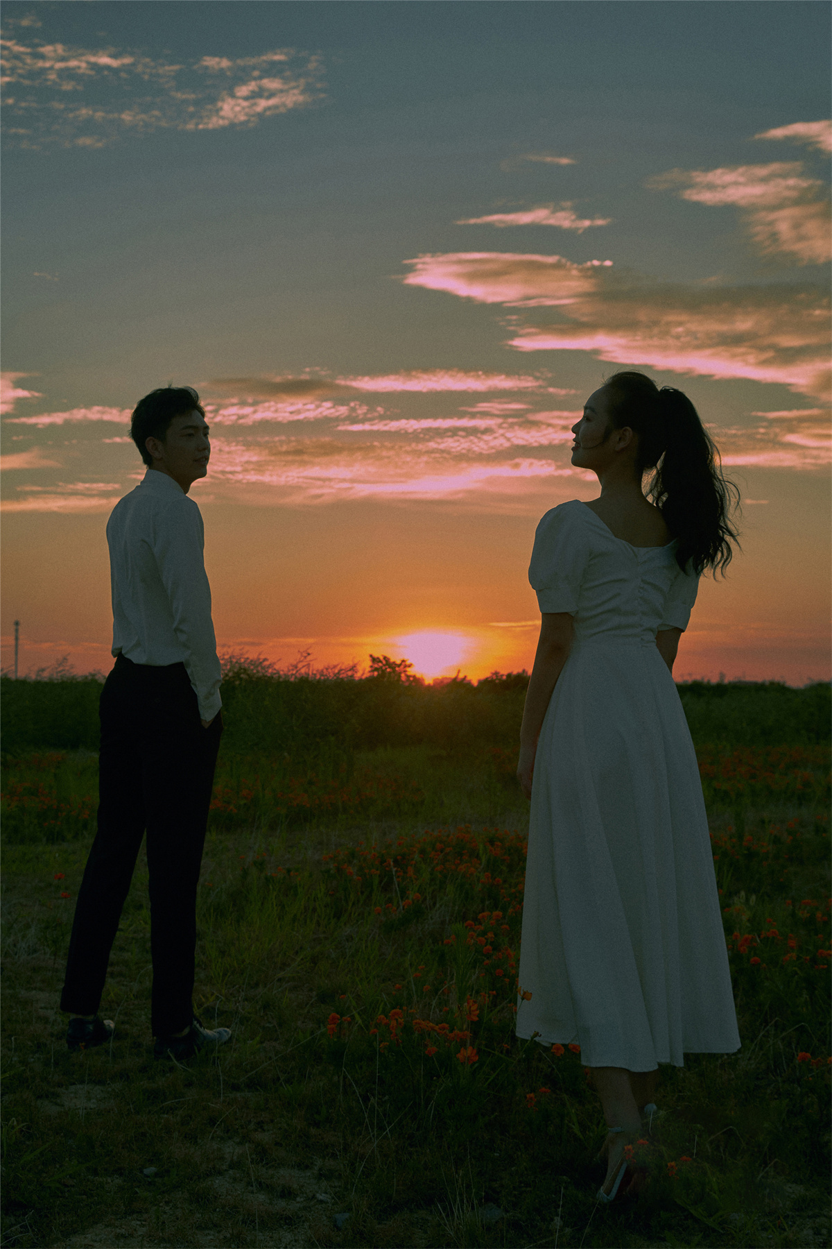 电影纪实-图片9