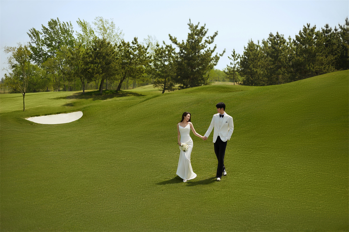 草坪绿地-图片3