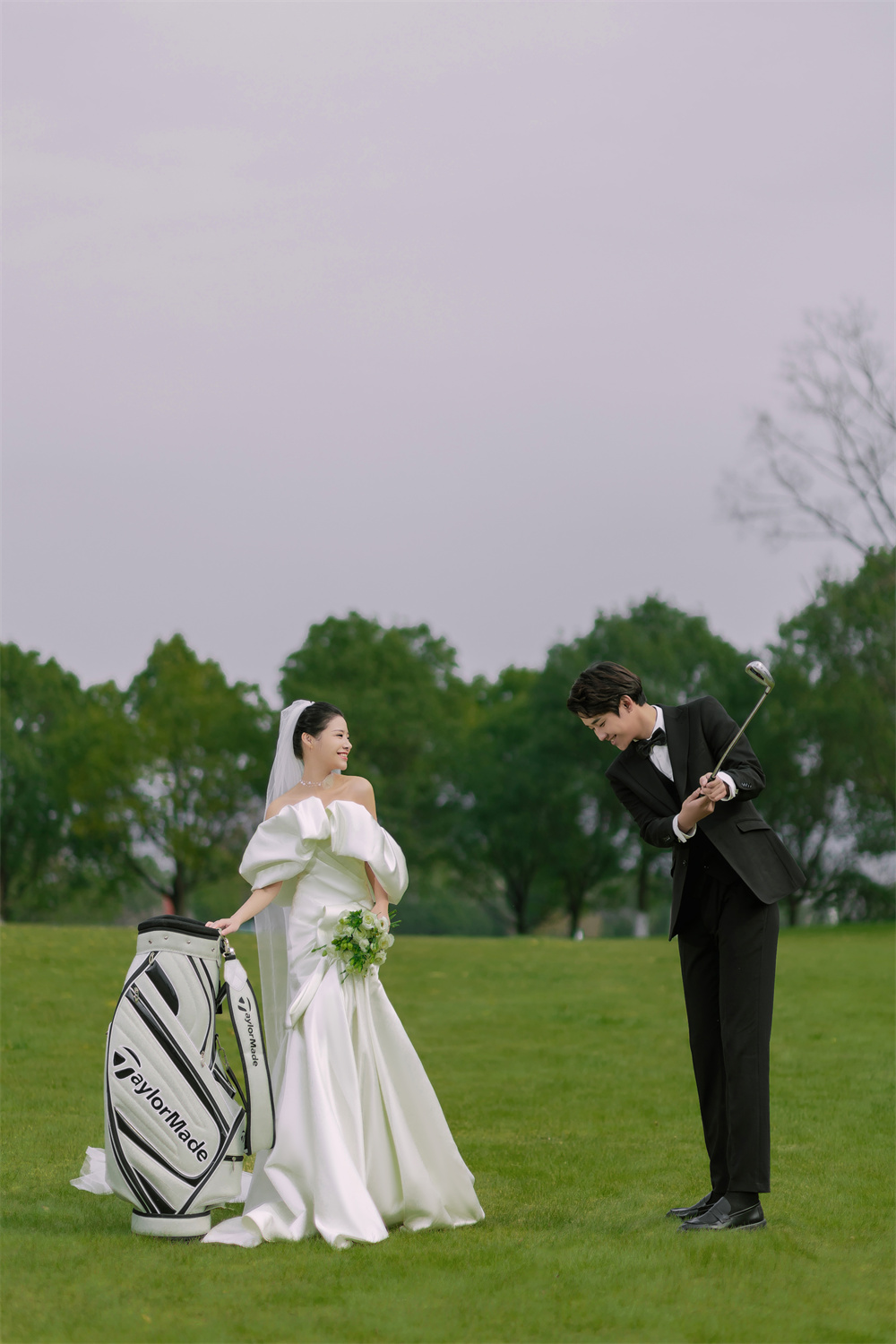 早春草地-图片4