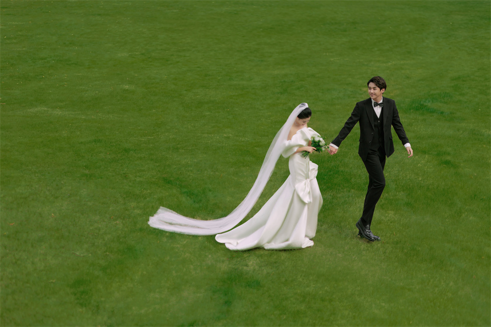 早春草地-图片10