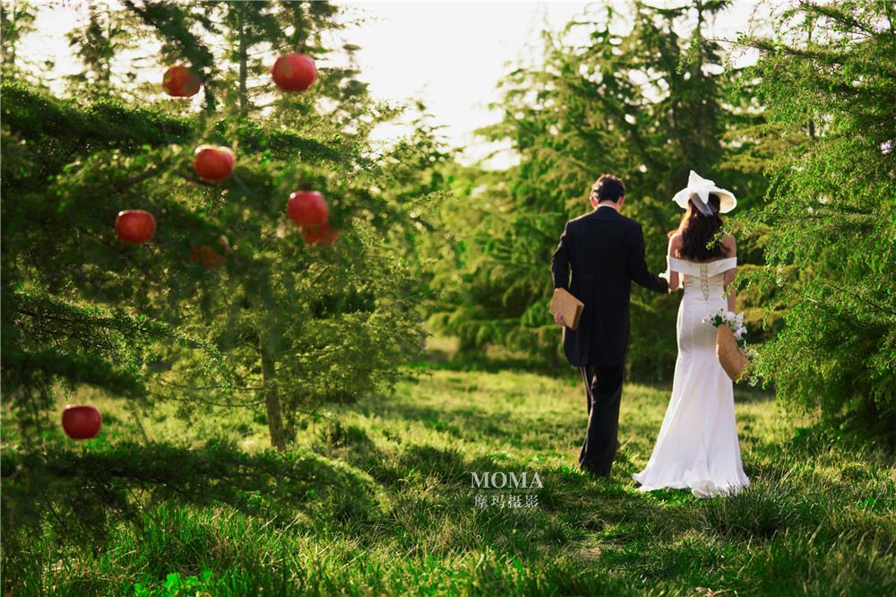 法式庄园-图片2