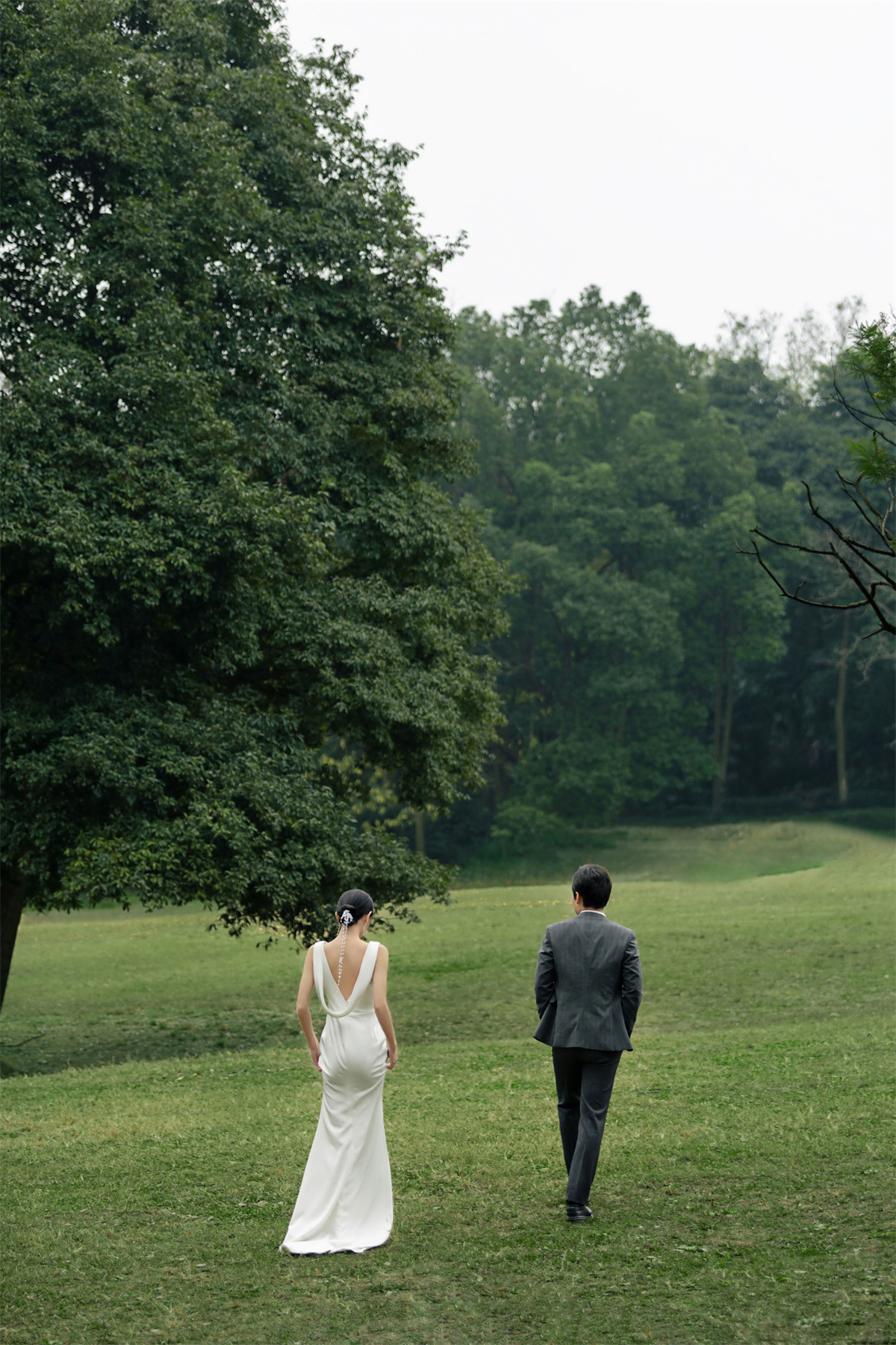 草坪绿地-图片4