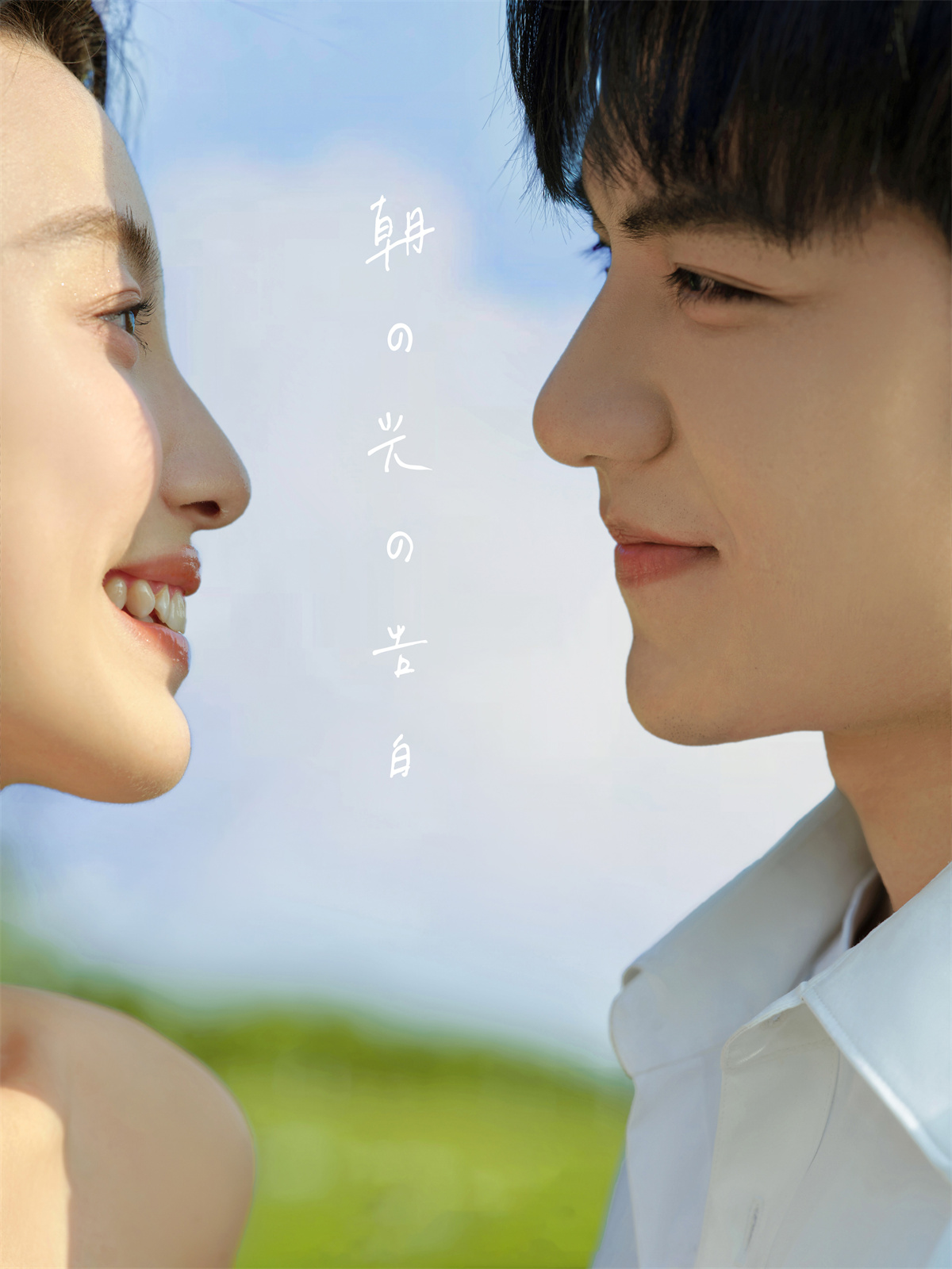 草地森系-图片2