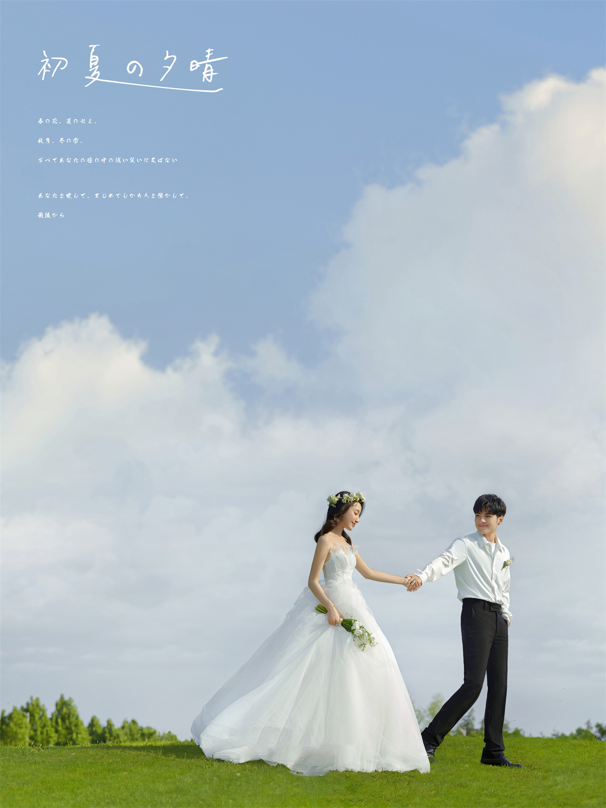 草地森系-图片3