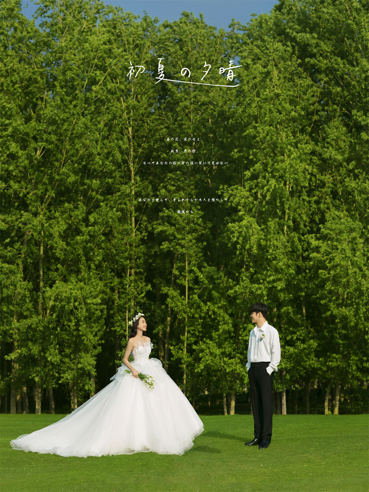 草地森系-图片4