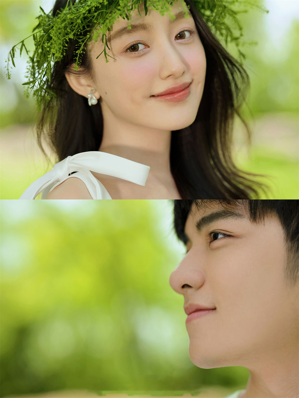 清新草地-图片8