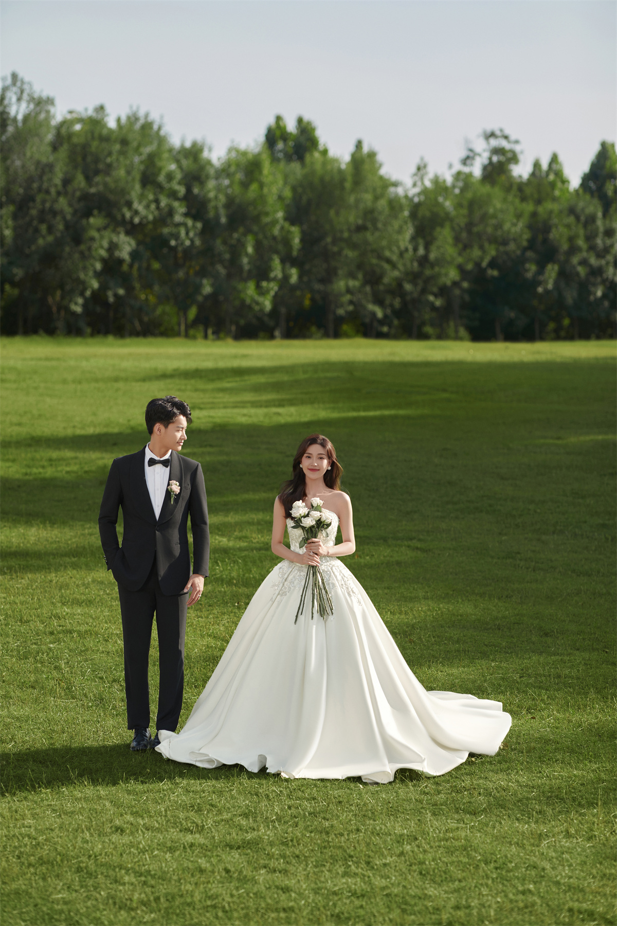 清新草地-图片7