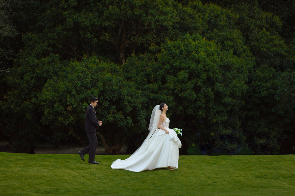 草坪绿地-图片9