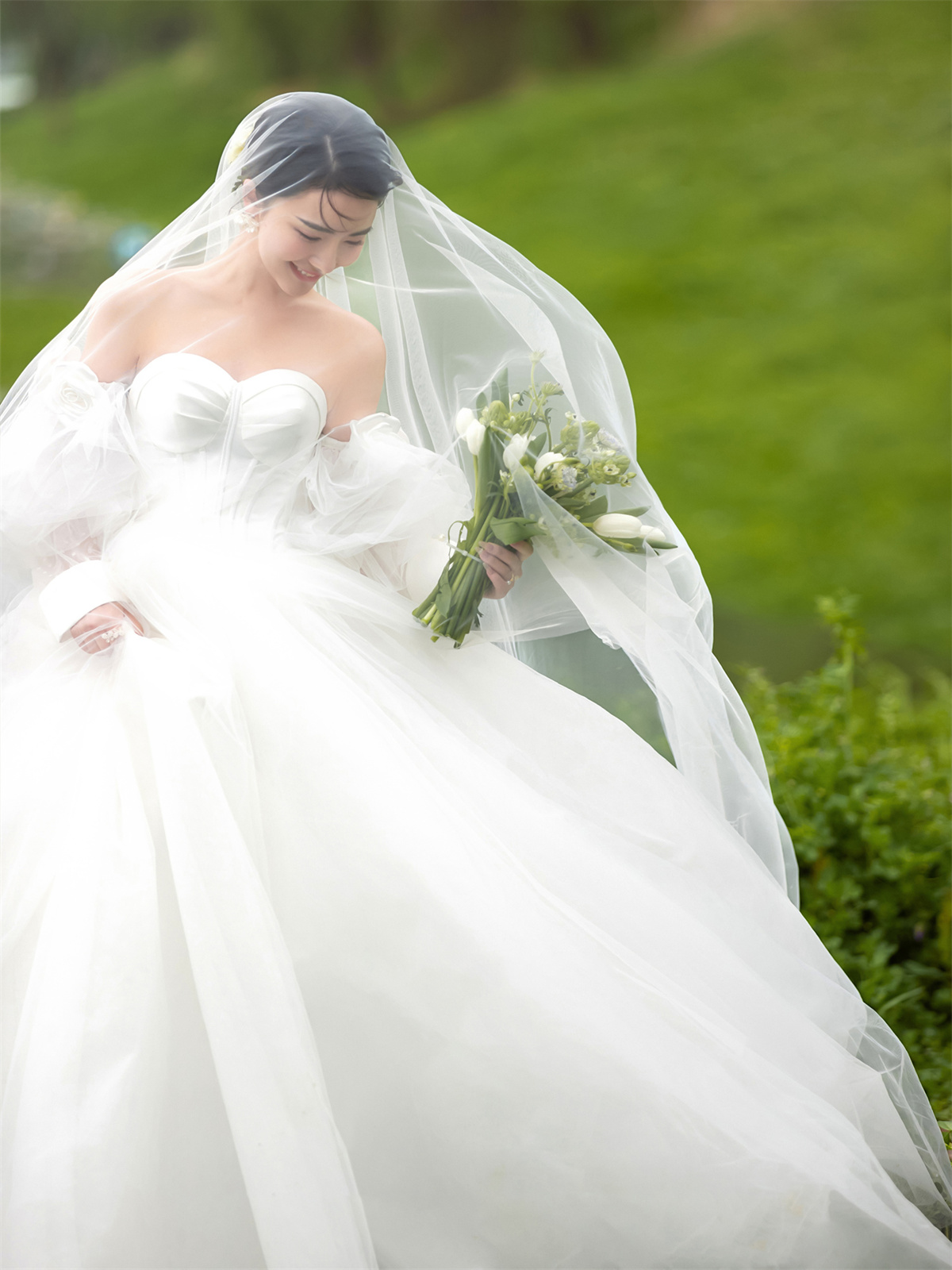 清新草地-图片4