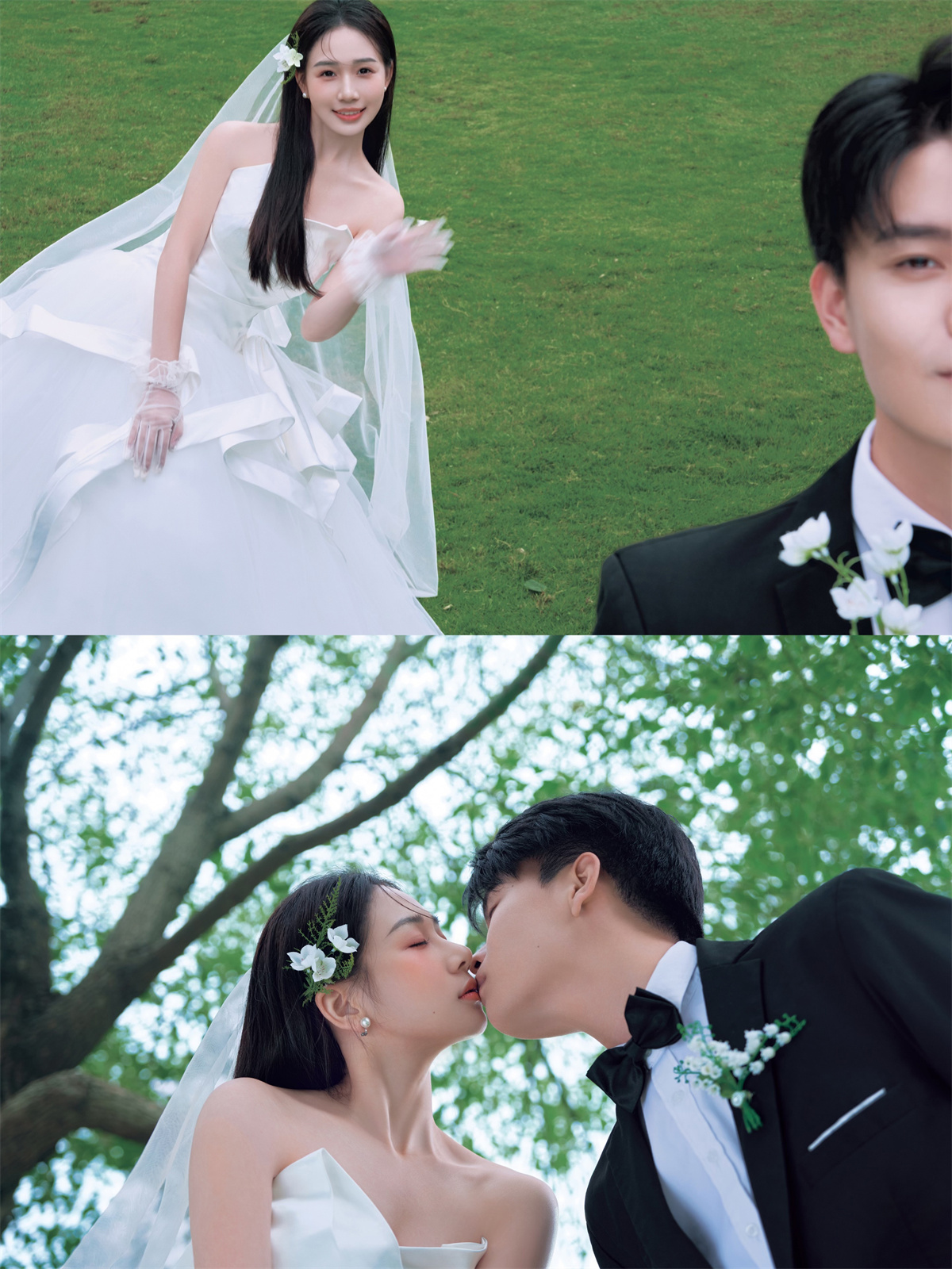 草坪绿地-图片1