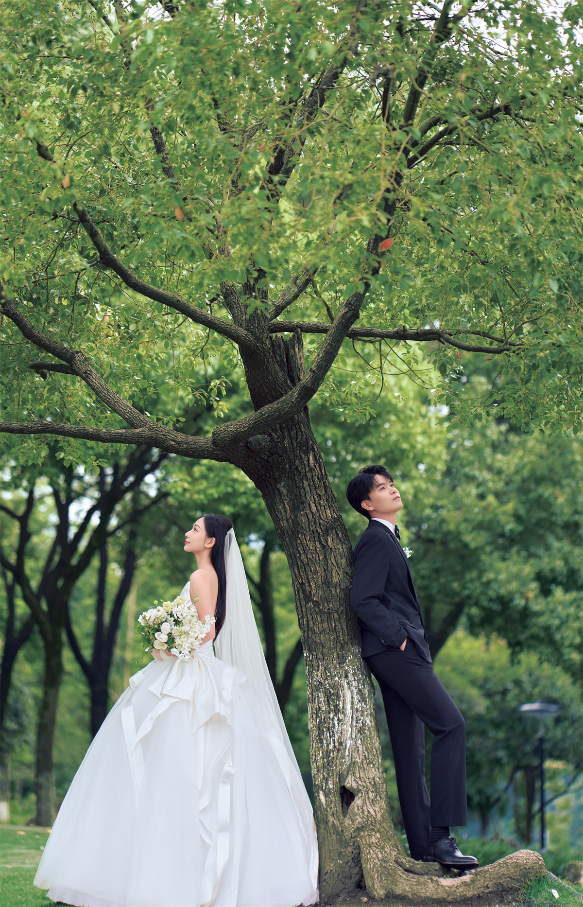 草坪绿地-图片3