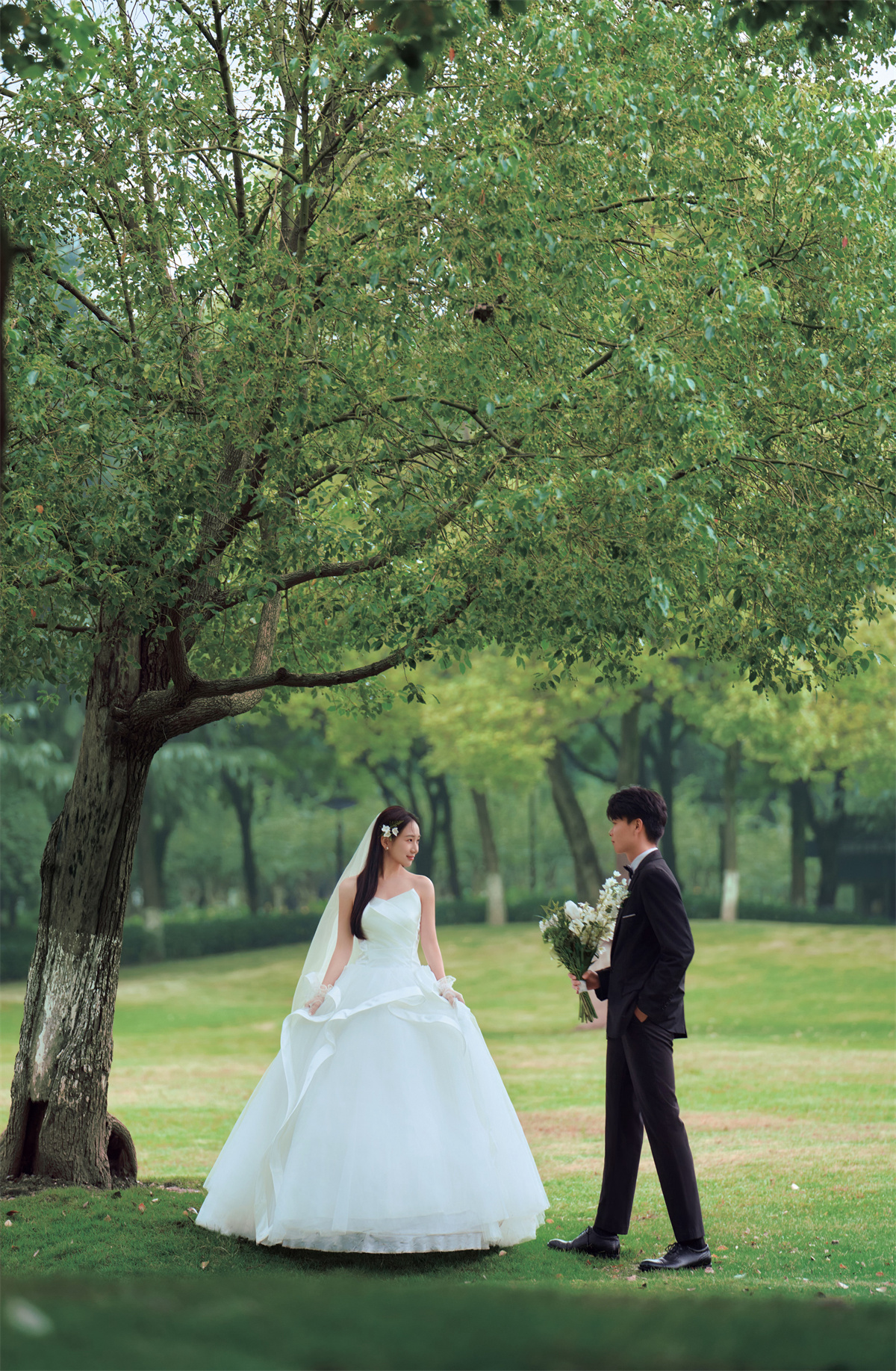 草坪绿地-图片5