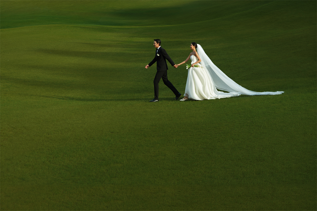 清新草地-图片7