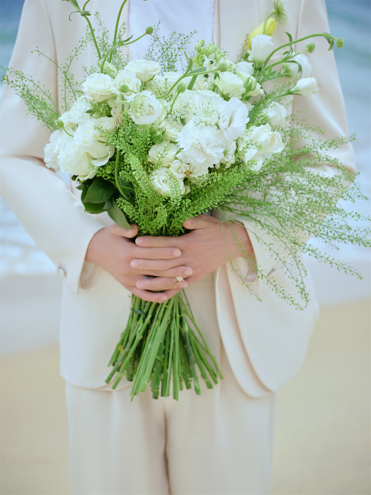 清新海景-图片4