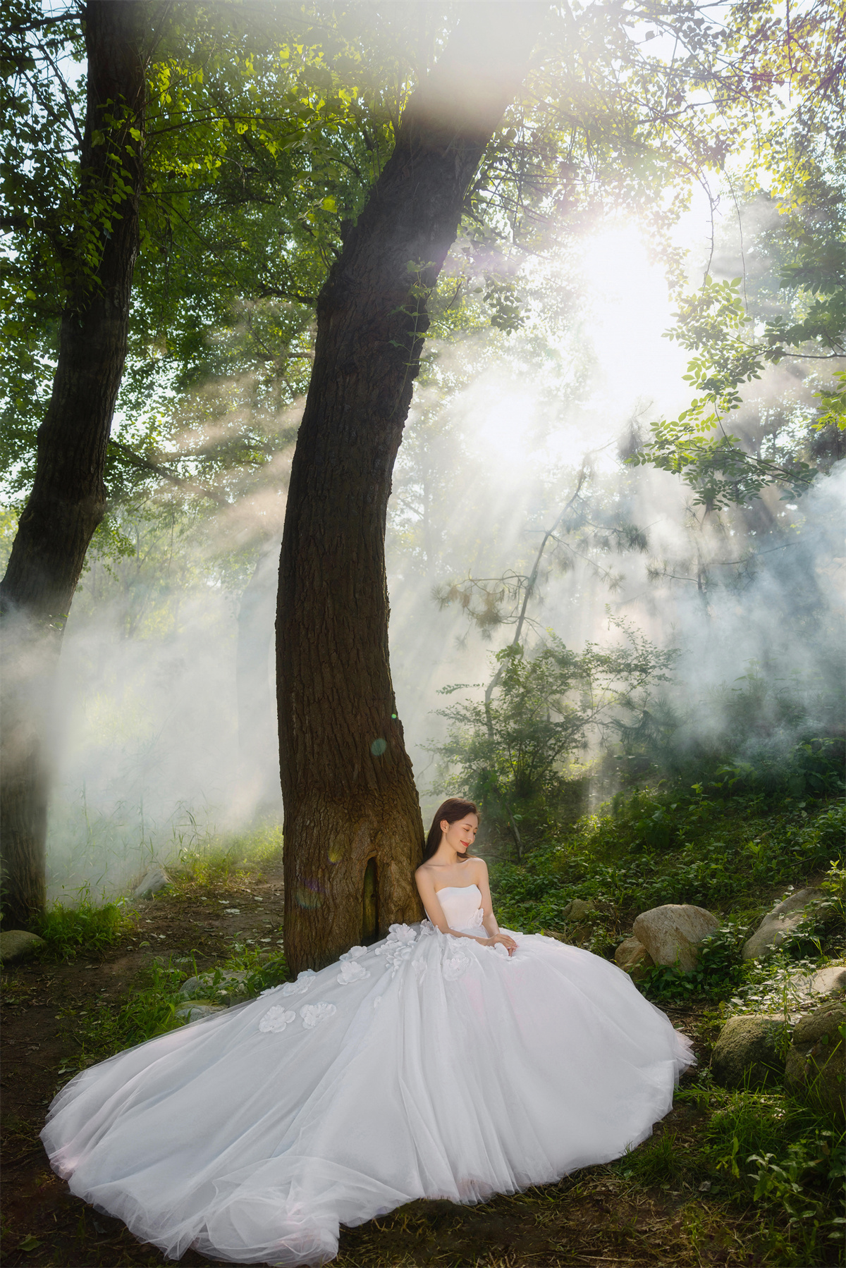 唯美森系-图片4