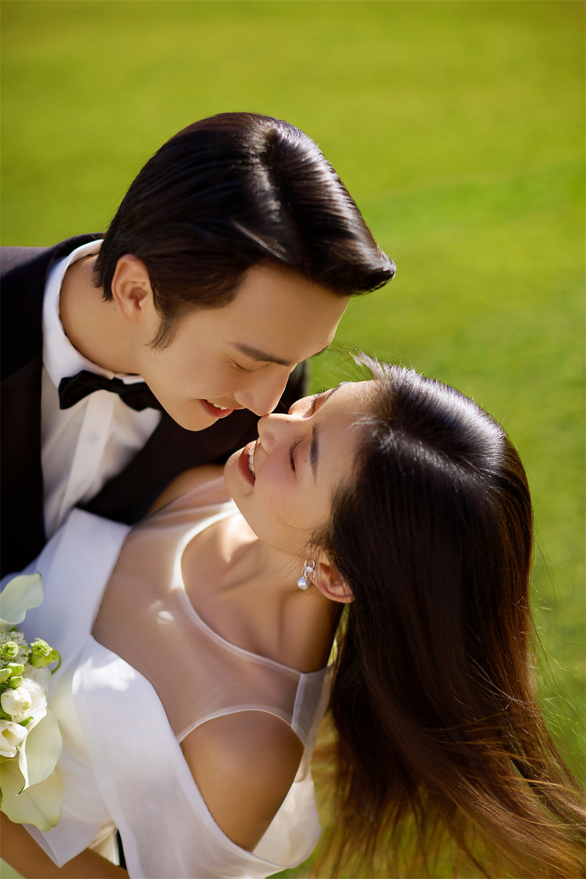 清新草地-图片3