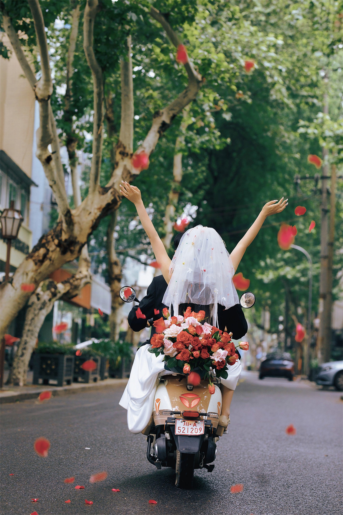 青春文艺-图片6