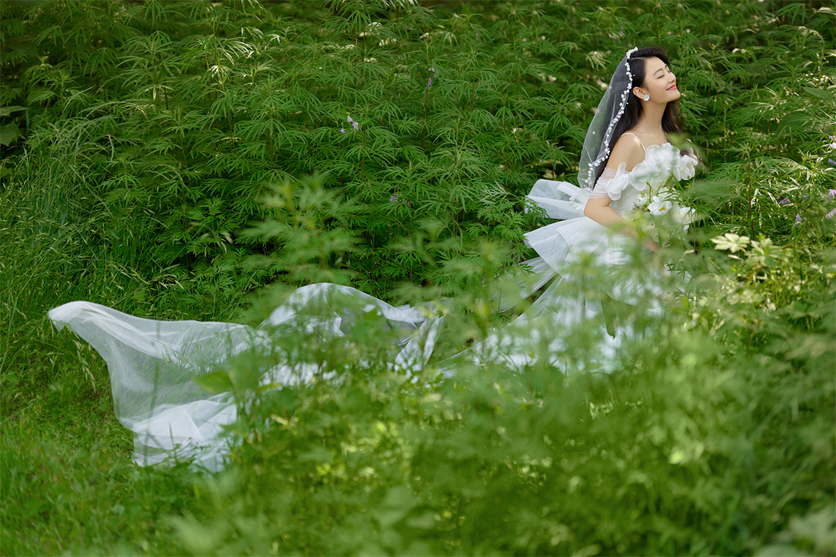 草坪绿地-图片3