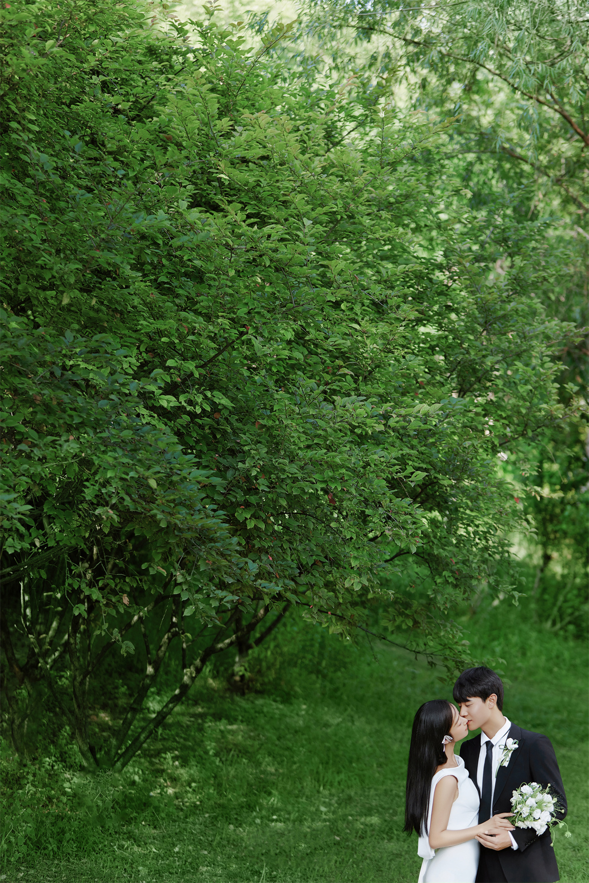 浪漫草地-图片12