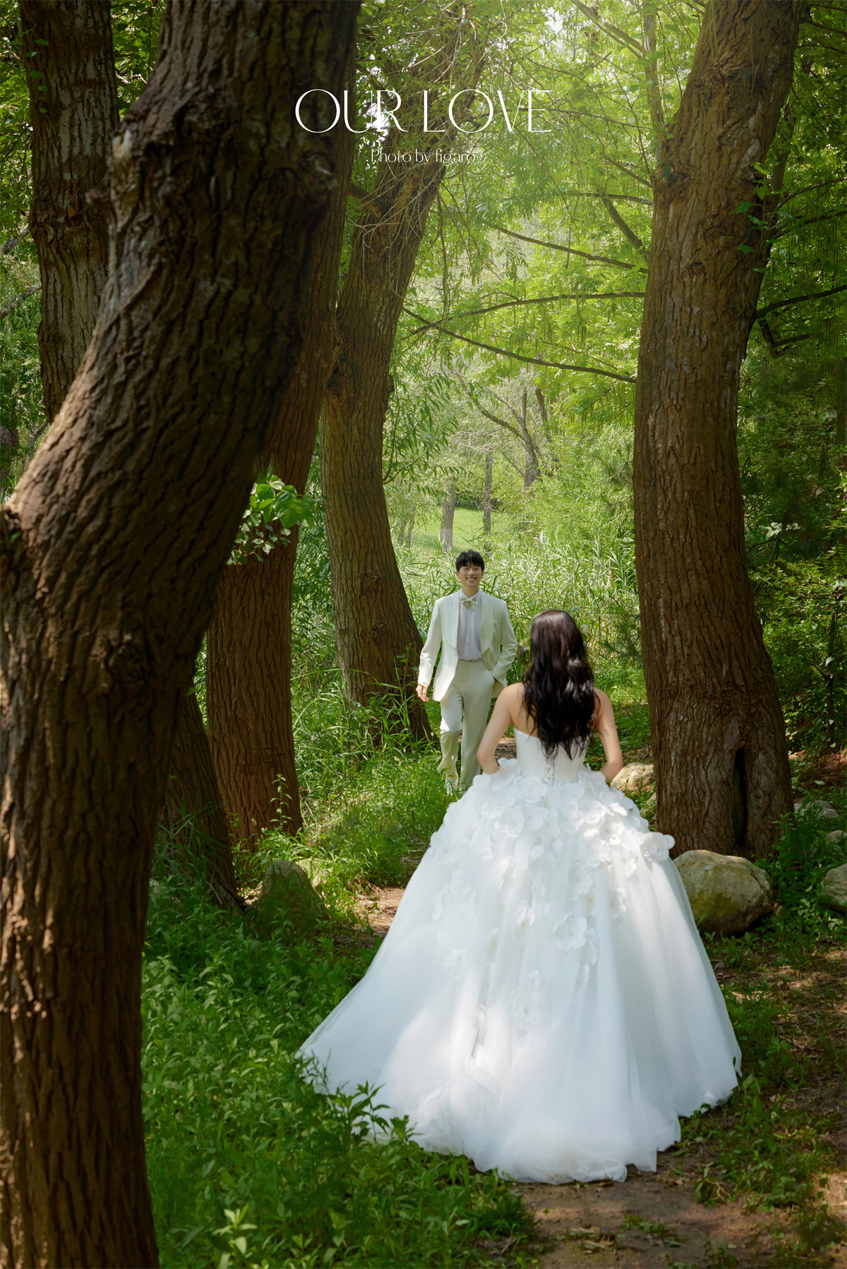 浪漫森系-图片7