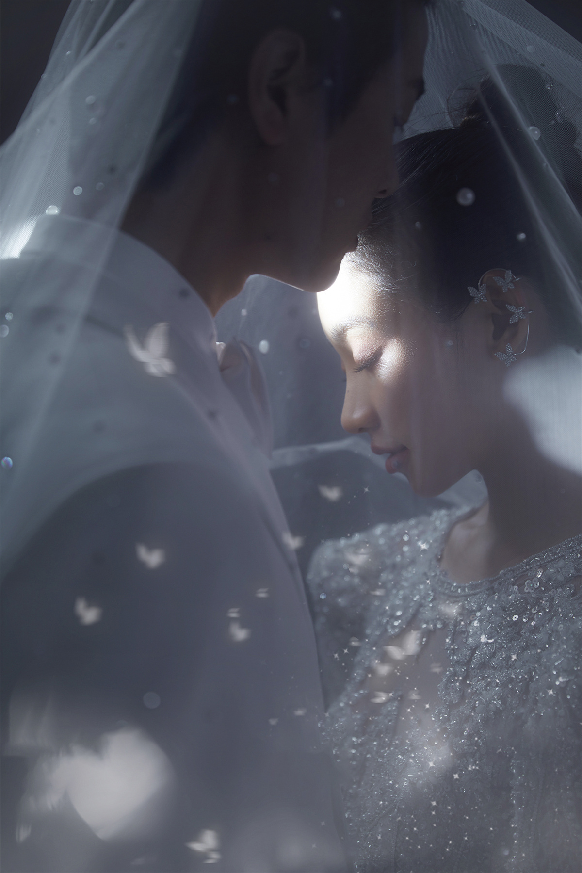 高级光影-图片7