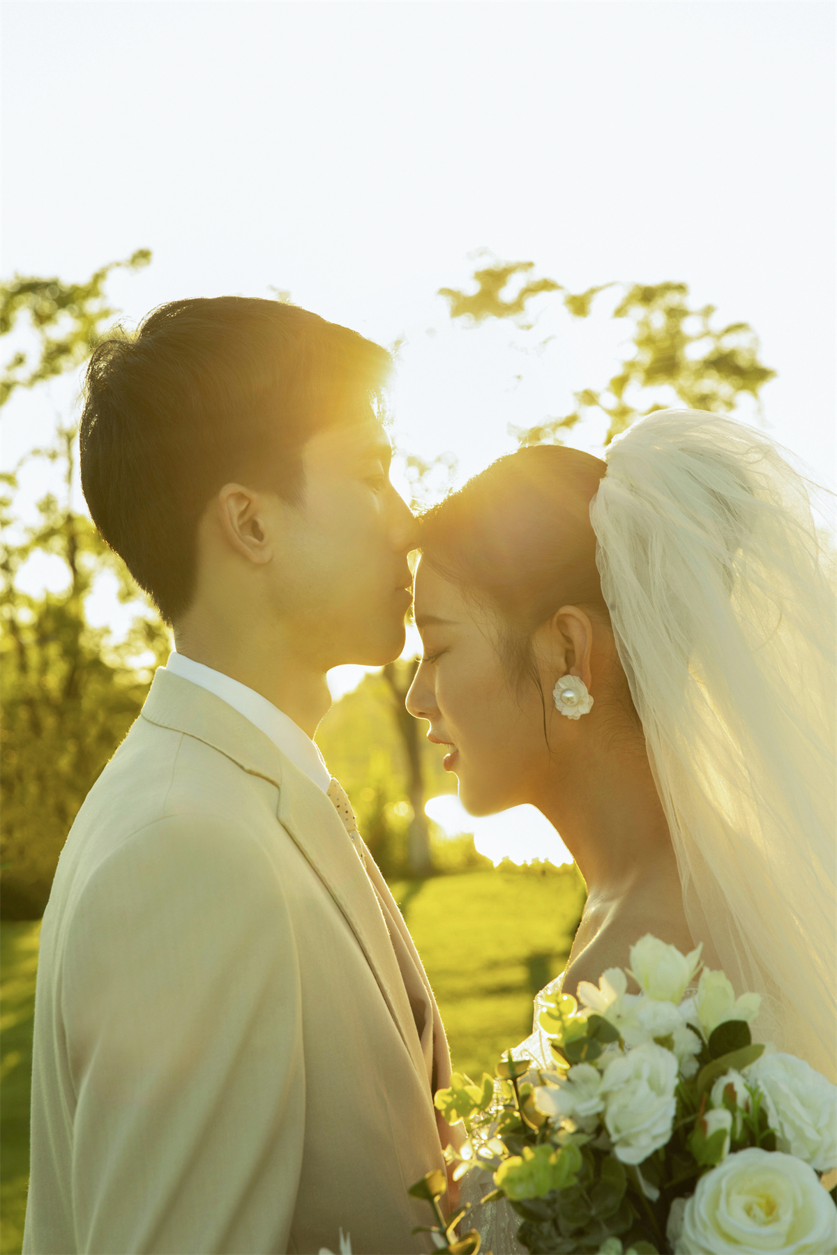 夕阳草地-图片2