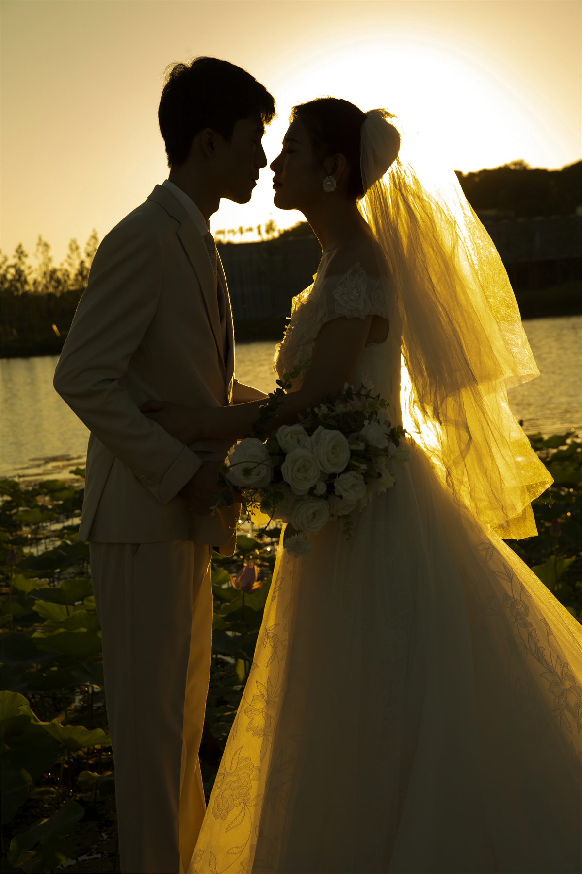 夕阳草地-图片4