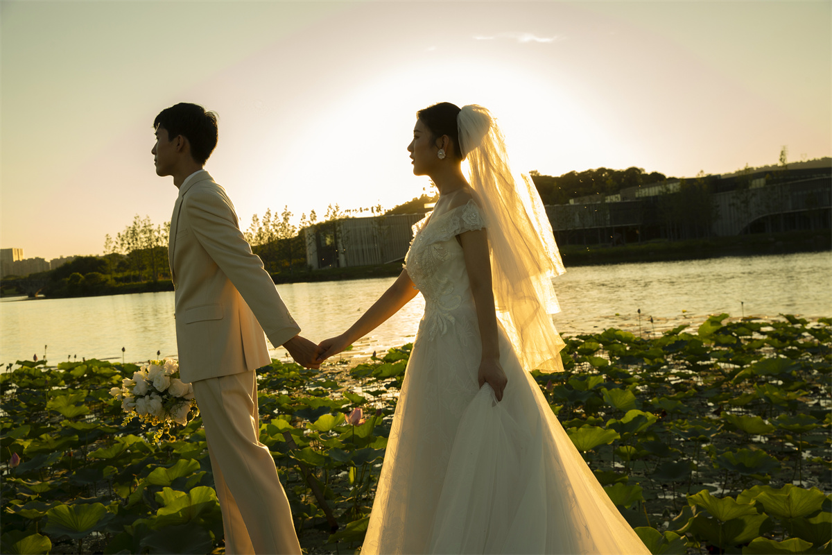 夕阳草地-图片5