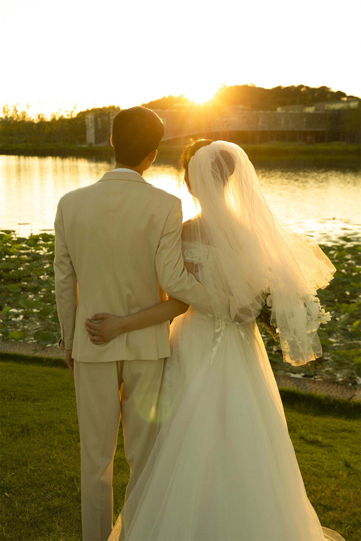 草坪绿地-图片3