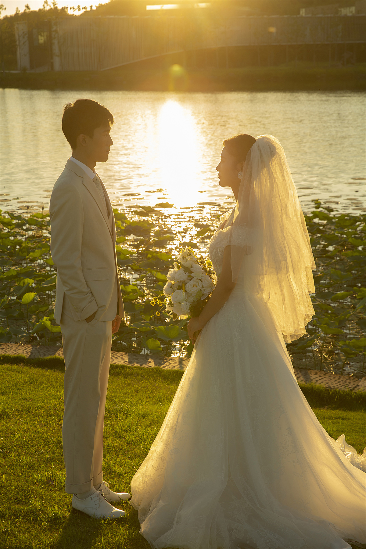 草坪绿地-图片6